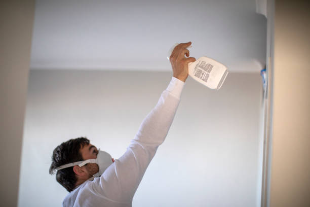 Best Professional Mold Removal  in Sheridan, IL